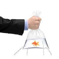 Sement əsaslı tez quruyan su izolyasiya Weber.dry RAPID STOP 5 kq Sement əsaslı tez quruyan su izolyasiya Weber.dry RAPID STOP 5 kq