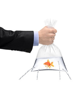 Sement əsaslı tez quruyan su izolyasiya Weber.dry RAPID STOP 5 kq Sement əsaslı tez quruyan su izolyasiya Weber.dry RAPID STOP 5 kq