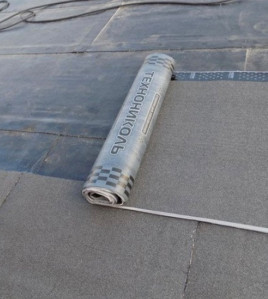 Su izolyasiya bitum membranı Texnonikol Texnoelast EPP 10x1 m